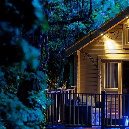 הוילה בורנמות' Alum Chine Log Cabin מראה חיצוני תמונה