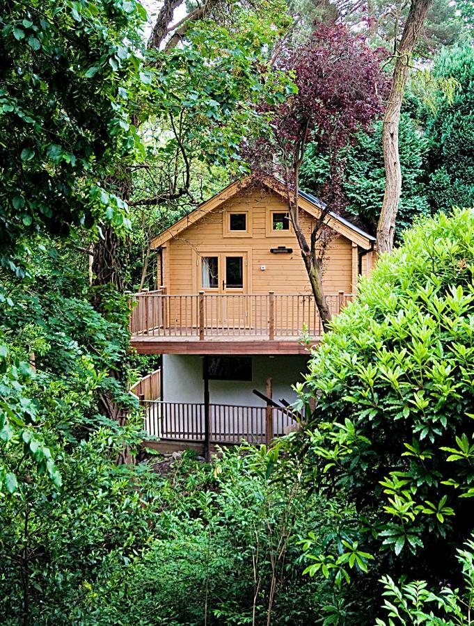 הוילה בורנמות' Alum Chine Log Cabin מראה חיצוני תמונה